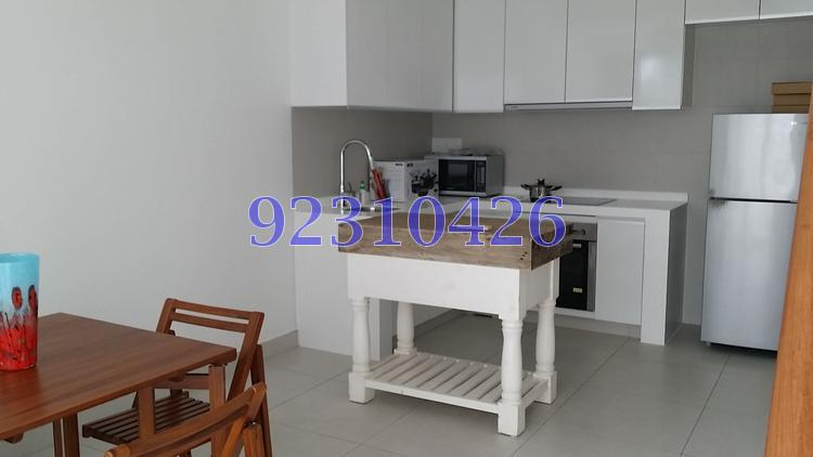 The Rochester Residences (D5), Apartment #99366882